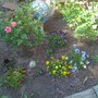 IMG_0226.jpg