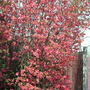 DSCN4975.jpg