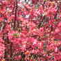 DSCN4976.jpg