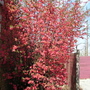 DSCN4977.jpg