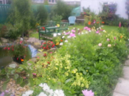 allotment