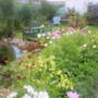 The_patch_890