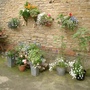 A garden flower photo