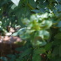 Brens_photos_050