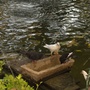 San_anton_gardens_3
