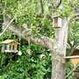 My Bird Feeders...
