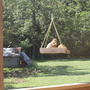Red Squirrel