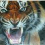 tiger tiger