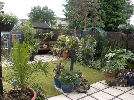 A garden flower photo