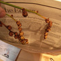 crocosmia seeds