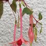 Picture_281