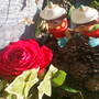 Lucys_pics_051