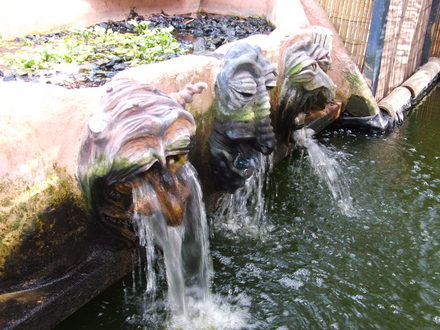 water feacture