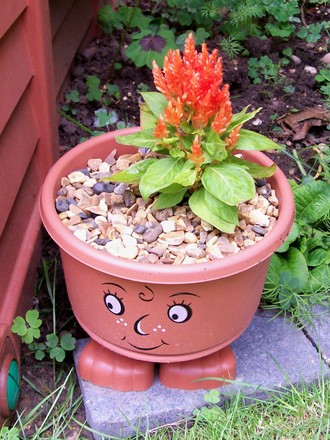 Brookes Little flower