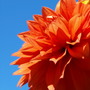 20080717_13b