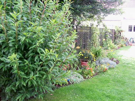 Woodland and right hand beds