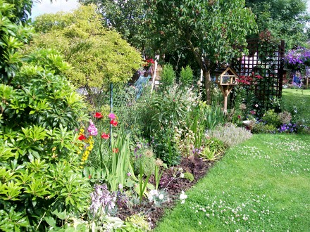 left hand bed mid July