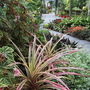 Dunfglasshouseview2