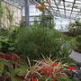 Glasshouseview3