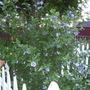 100_0941.jpg
