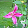 100_0946.jpg