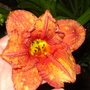 Dsc01704
