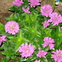 Dsc01703