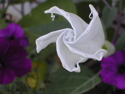 July1708_010.jpg