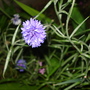 Dsc01705