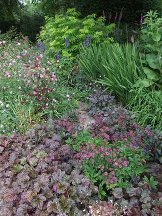 Long border at Llwyngarreg