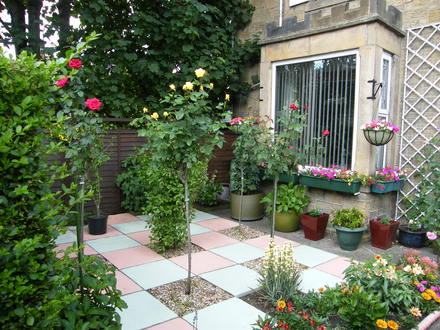 My Garden (Astromeria)