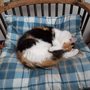 Picture_273