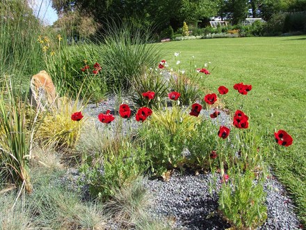 Grass bed