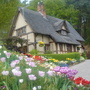 Wilife_pics_001