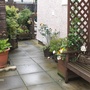 A garden flower photo