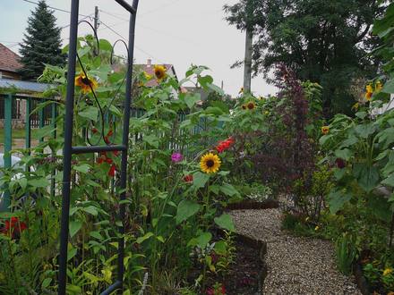 Front garden