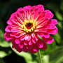20080718_10