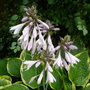 P1020721