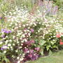 Island_bed_4__2008