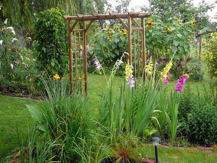 Back garden