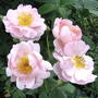 2008-07-18_004