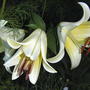 2008-07-18_015