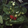 2008-07-18_012