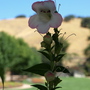 20080718_29