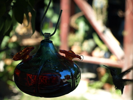 hummer