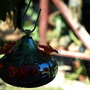 20080718_27
