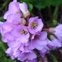 Jan_2008_tbs_217