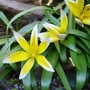 2008__feb