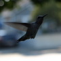 20080718_52b