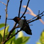 20080718_76b